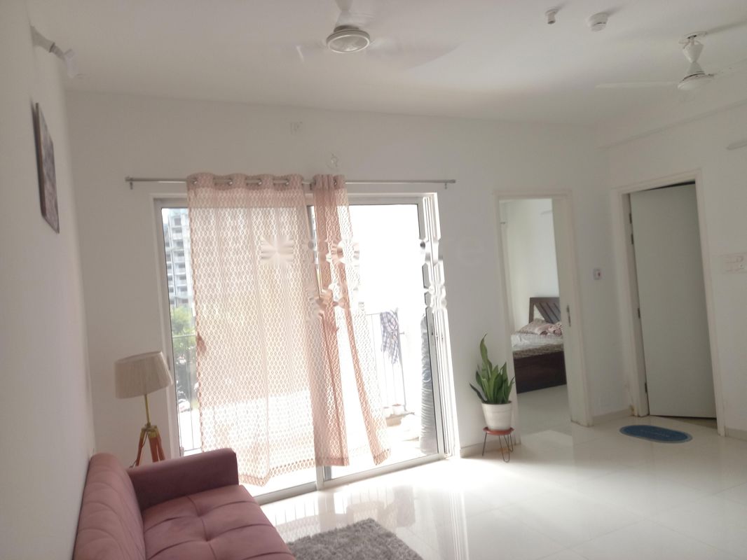 1 BHK Apartment For Rent in Mantra Mesmer