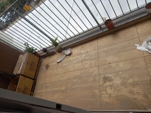 Balcony in 1 BHK Apartment at Mantra Mesmer, Keshav Nagar – for Rent