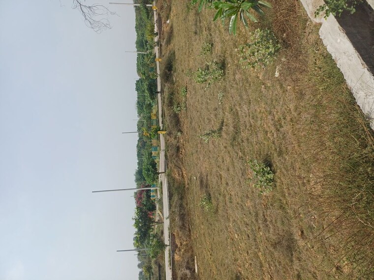 Garden, jewar  116 Sq.Yd. Plot In Jewar Greater Noida 10191144