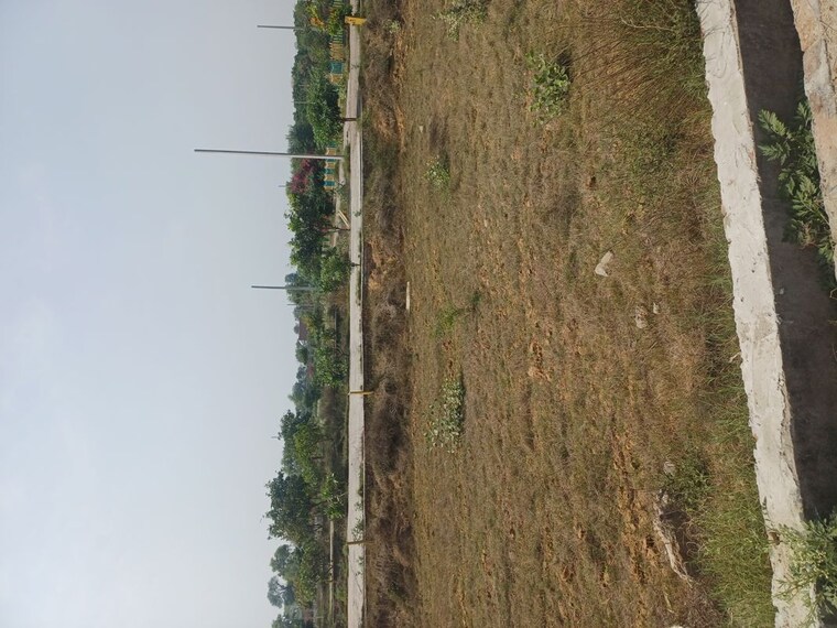 Garden, jewar  116 Sq.Yd. Plot In Jewar Greater Noida 10191144