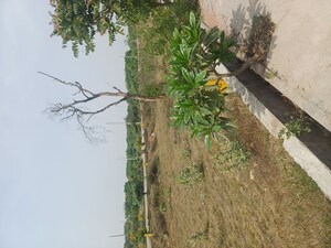  Plot – Garden View at Jewar - for Sale