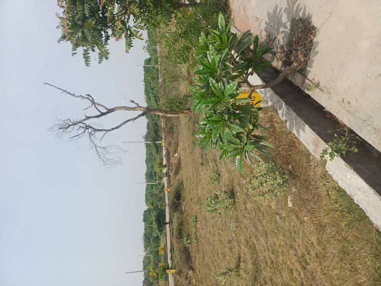 Garden, jewar  116 Sq.Yd. Plot In Jewar Greater Noida 10191144