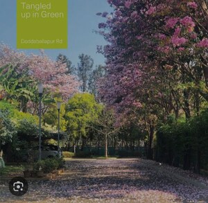  Plot – Garden View at Total Environment After The Rain, Yelahanka - for Sale