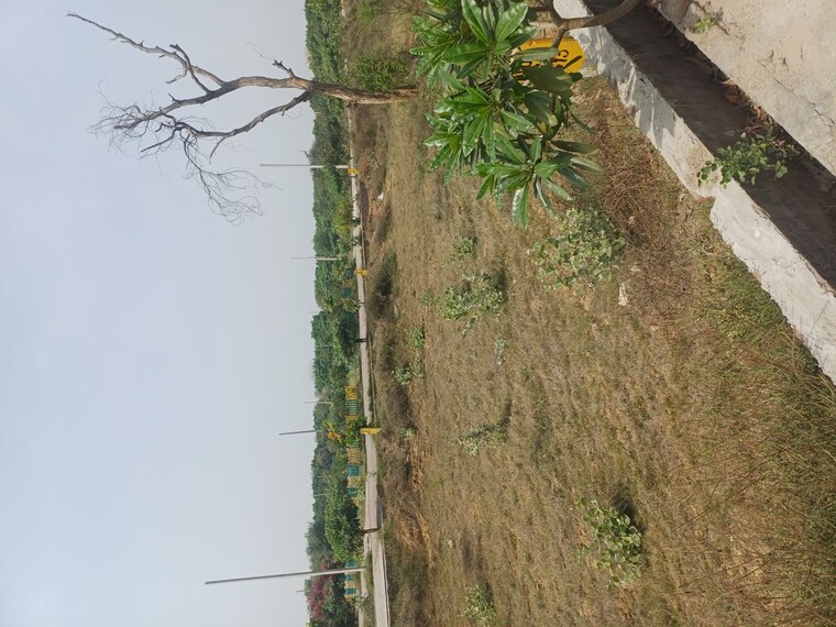 Garden, jewar  117 Sq.Yd. Plot In Jewar Greater Noida 10191246