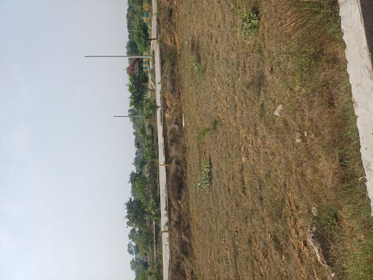 Garden, jewar  117 Sq.Yd. Plot In Jewar Greater Noida 10191246