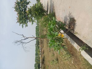  Plot – Garden View at Jewar - for Sale