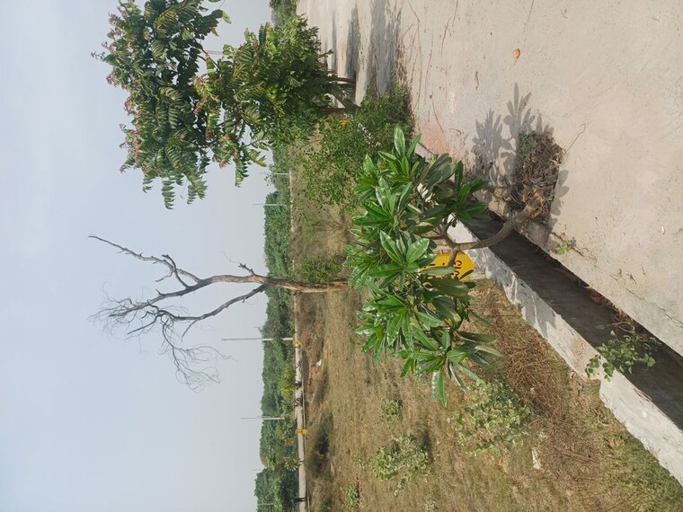 Garden, jewar  117 Sq.Yd. Plot In Jewar Greater Noida 10191246