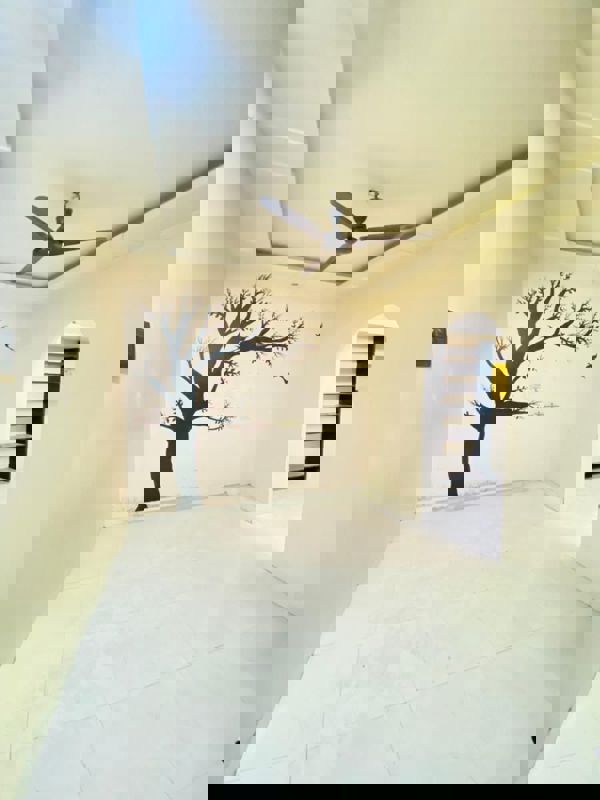 1 BHK 550 Sq.Ft. Apartment in Ameya CHS Kothrud