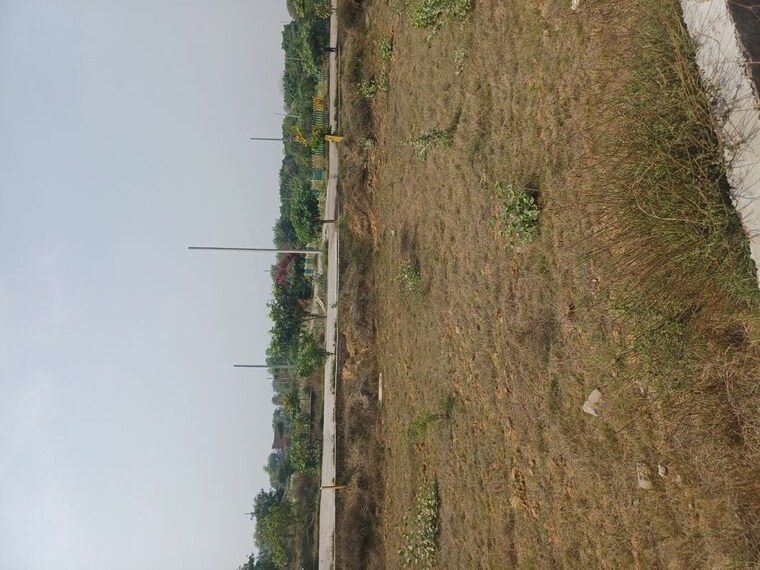 Garden, jewar  118 Sq.Yd. Plot In Jewar Greater Noida 10191256