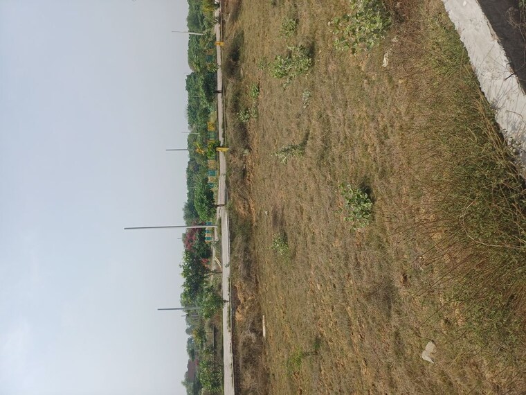 Garden, jewar  118 Sq.Yd. Plot In Jewar Greater Noida 10191256
