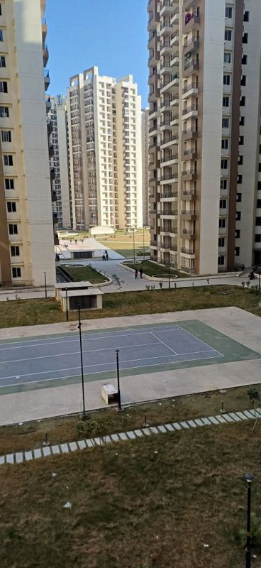 2 BHK + Study Room Apartment For Rent in Amrapali Golf Homes