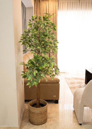 Master Bedroom in 3 BHK Apartment at HM Avalon, Richmond Town – for Rent