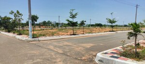 Plot Area in  Plot at Sangasar – for Sale