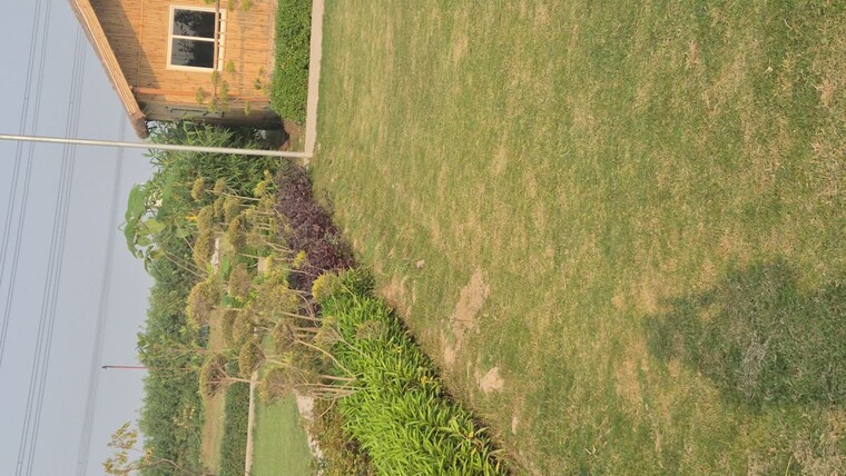 Garden, knowledge park ii greater noida  985 Sq.Ft. Plot In Knowledge Park Ii Greater Noida Greater Noida 10192294