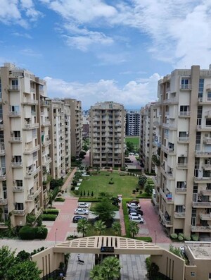 3 BHK Apartment For Rent in Sushma Crescent, Dhakoli