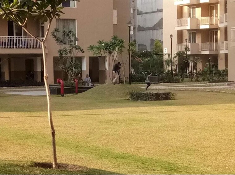 Garden, sushma-crescent 3 Bedroom 1800 Sq.Ft. Apartment In Dhakoli Zirakpur 10192328