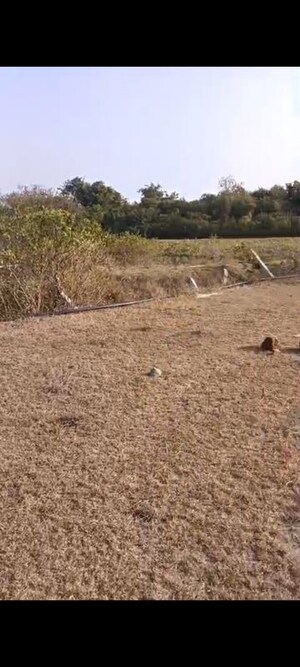  Plot For Sale in Yacharam