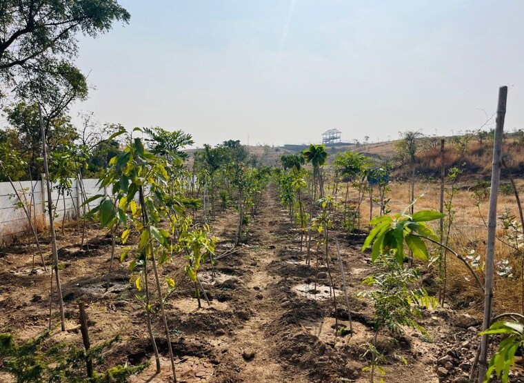 undefined, shirwal  1600 Sq.Ft. Plot In Shirwal Satara 10192506