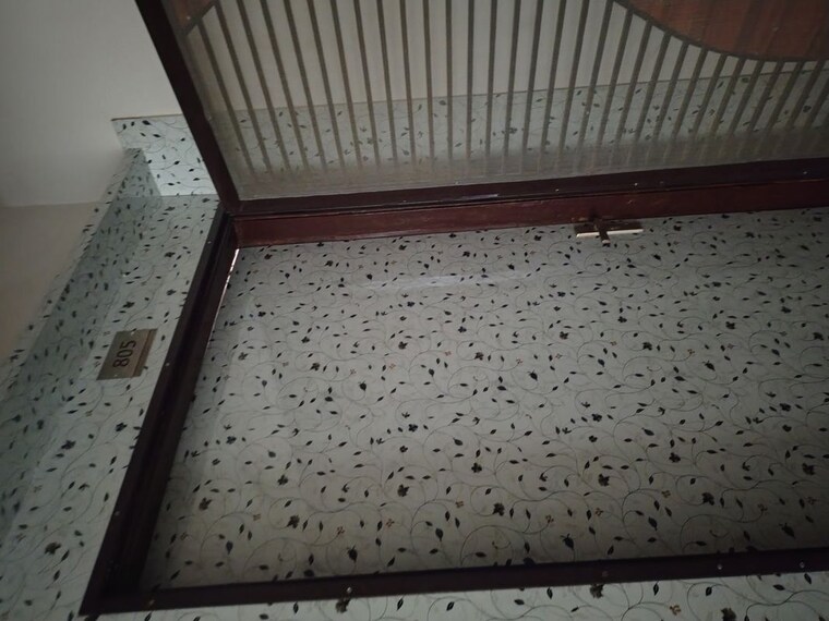 Balcony, amrapali-leisure-park 2.5 Bedroom 955 Sq.Ft. Apartment In Amrapali Leisure Valley Greater Noida 10192511