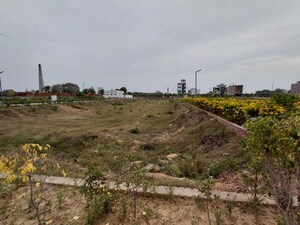 Plot Area in  Plot at Amolik Aster Woods, Sector 98 – for Sale