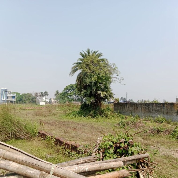 undefined, pahala  2600 Sq.Ft. Plot In Pahala Bhubaneswar 10193304