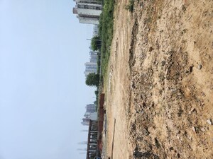  Plot For Sale in Sector 98