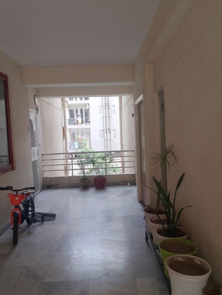 undefined, tulip-ace 3 Bedroom 1600 Sq.Ft. Apartment In Sector 89 Gurgaon 10194049
