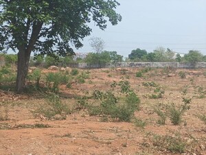  Land For Sale in Rajapeta