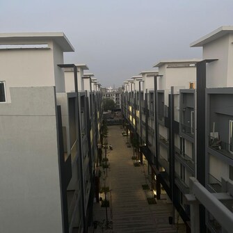 3.5 BHK + Extra Room,Basement 1423 Sq.Ft. Apartment in M3M Soulitude