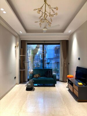 Living Room in 3 BHK Builder Floor at Safdarjung Enclave – for Rent