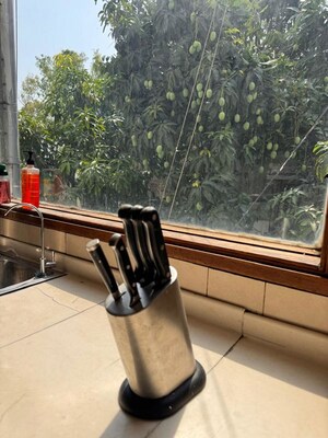 Balcony in 3 BHK Builder Floor at Defence Colony – for Rent