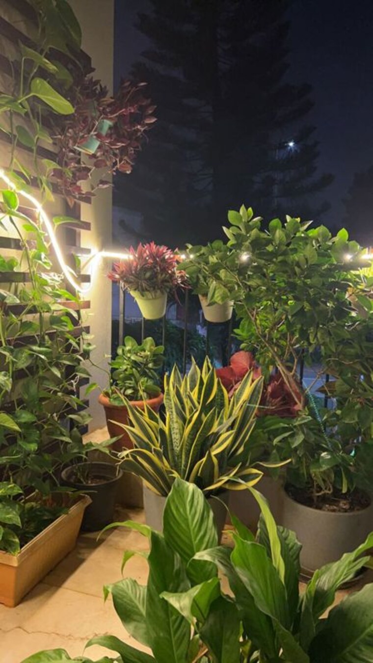 Garden, paras-tierea 3 Bedroom 1285 Sq.Ft. Apartment In Sector 137 Noida 10194365