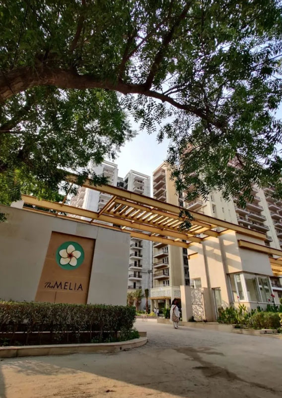 1 BHK +  805 Sq.Ft. Apartment in Silverglades The Melia