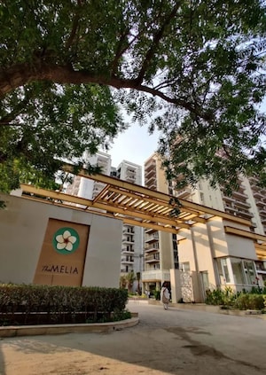 1 BHK Apartment For Sale in Silverglades The Melia, Sohna Sector 35