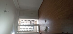 2 BHK Apartment For Rent in Amrapali Golf Homes, Sector 4 Greater Noida