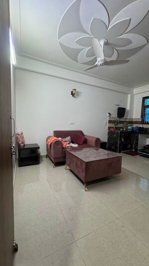 Living Room in 1 BHK Builder Floor at Palm Residency Chhatarpur, Chattarpur – for Rent