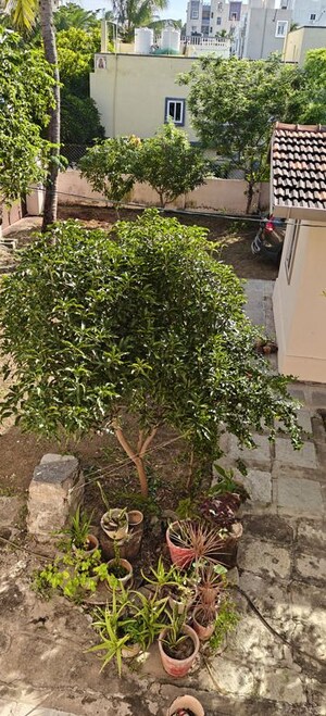 1 BHK Independent House – Exterior View View at Ammuguda - for Sale