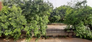  1 BHK Apartment at Sector 16 – for Sale