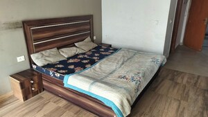 1 BHK Apartment For Rent in Paramount Golfforeste, Zeta I Greater Noida