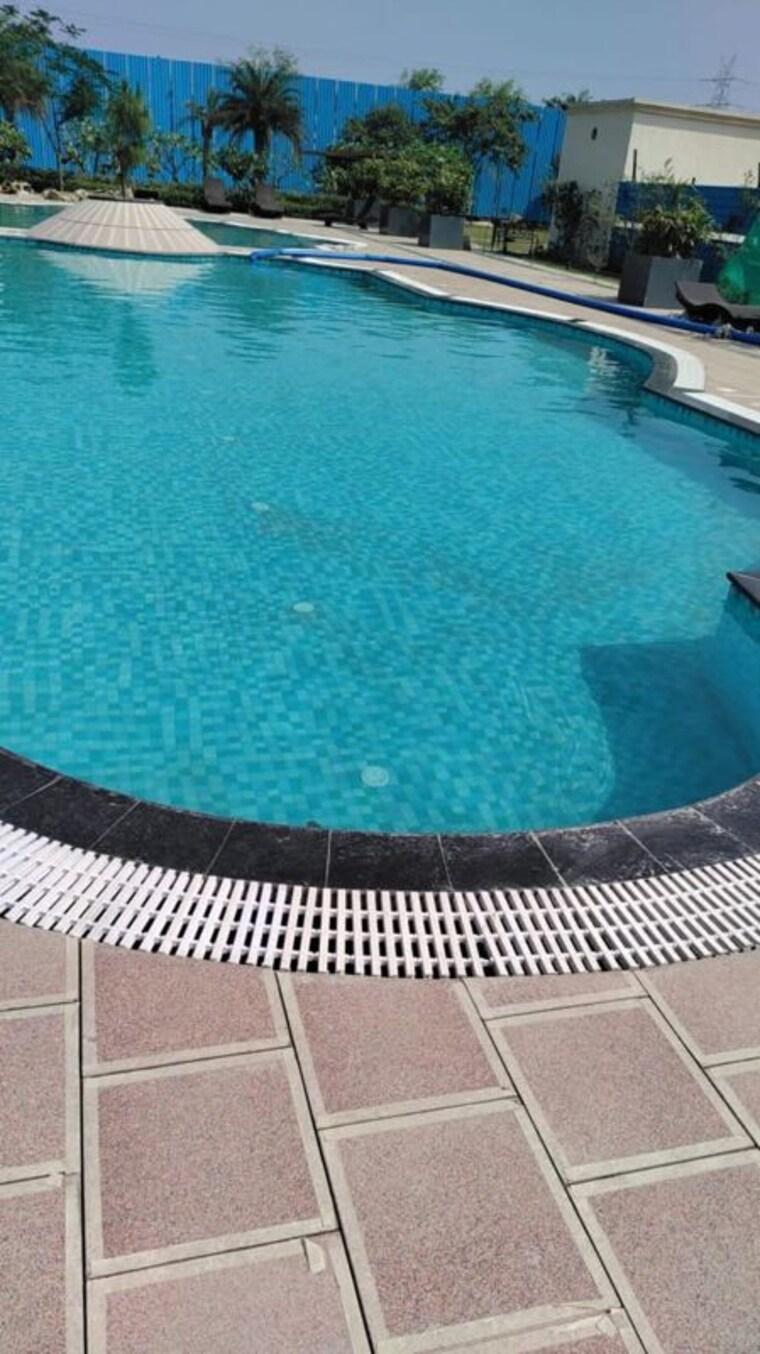 Swimming Pool, signature-global-park-4-and-5 2 Bedroom 845 Sq.Ft. Builder Floor In Sohna Sector 36 Gurgaon 10195073