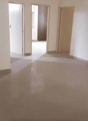 4 BHK Apartment For Rent in Celestial Palace, Pi Greater Noida