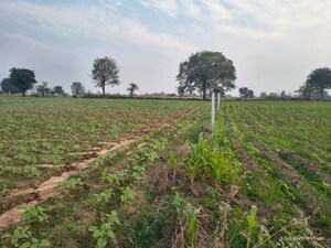 Plot Area in  Plot at Medchal – for Sale