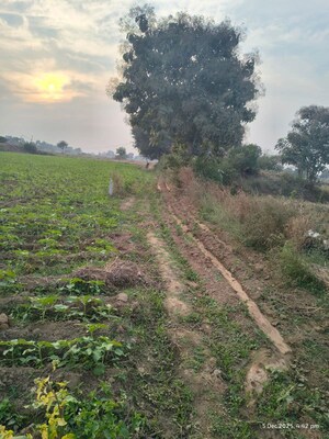  Plot For Sale in Medchal