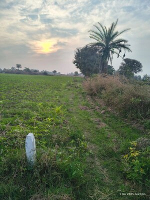 Plot Area in  Plot at Medchal – for Sale