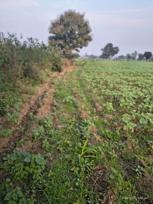 Plot Area in  Plot at Medchal – for Sale