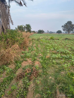 Plot Area in  Plot at Medchal – for Sale