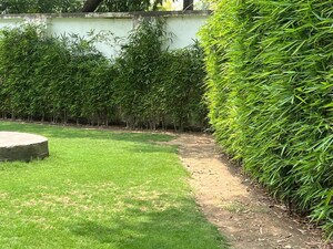 4 BHK Independent House – Garden View at Friends Colony - for Rent