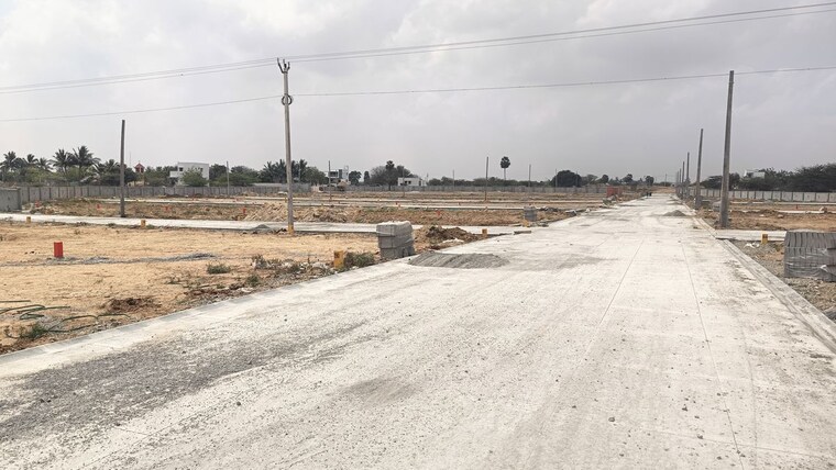 undefined, panjappur  1500 Sq.Ft. Plot In Panjappur Trichy 10195201