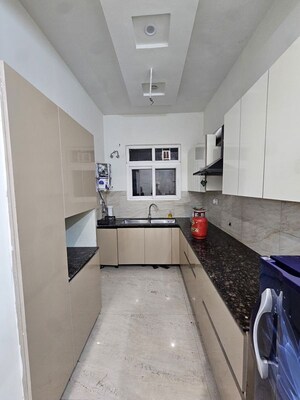 Kitchen in 3 BHK Apartment at Aura Homes, Patiala Road – for Rent