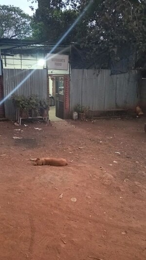  Warehouse – Exterior View View at Paud - for Rent